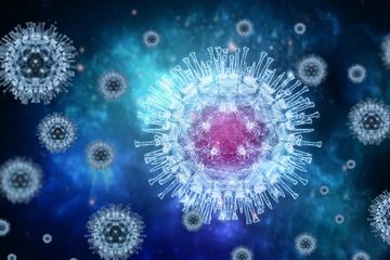 South Korea bags infection control conference