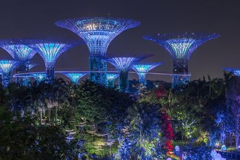 Singapore welcomes the 25th World Congress of Dermatology this July