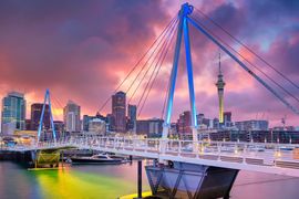 Cardiology conference has its heart set for Auckland