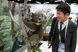 Look who’s back for events Down Under