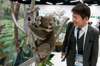 Look who’s back for events Down Under