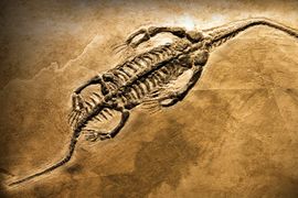 Dinosaur convention bans Epstein-linked scientists