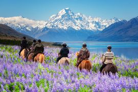 Reviving business events in New Zealand