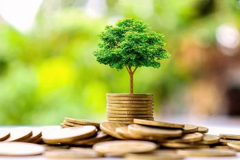 Chasing the money in the race to net-zero