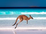 Australia projects nearly A$3bn in business event spend from Asia by 2035