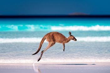 Australia projects nearly A$3bn in business event spend from Asia by 2035