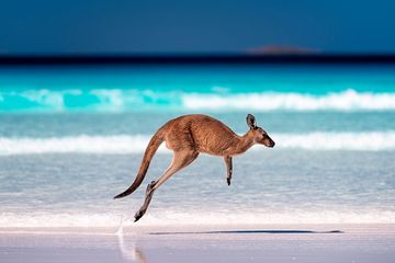 Australia projects nearly A$3bn in business event spend from Asia by 2035