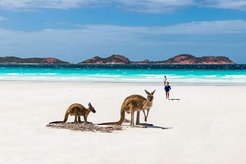 Hopes up as business events hop back to Australia