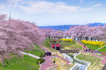 MICE groups discover the authentic charm of Japan’s regional cities