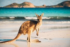 To vax or not to vax: No worries in these APAC countries