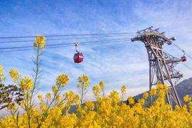 South Korea’s sparkling cities