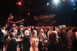 NZ event industry welcomes NZD1.5 million insurance proposal