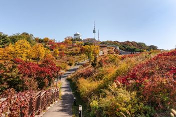 South Korea ascends for MICE
