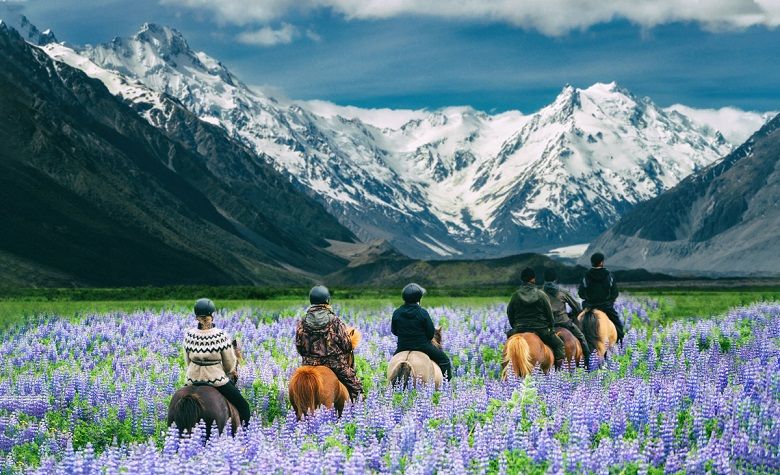 Ready for incentive travel in New Zealand? Game on!