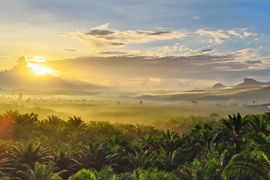Sabah officially hits carbon-negative status