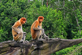 It's time to go wild about meetings