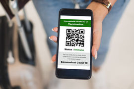 WTTC proposes "one stop" digital portal to restore global travel