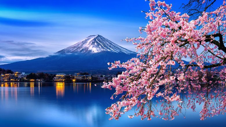 Do you have an award-winning incentive tour to Japan?
