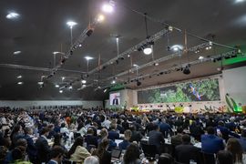 COP30: How sustainable is the biggest sustainability summit?