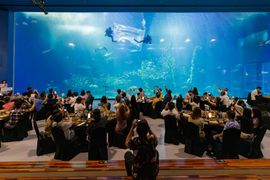 Case study: How a holiday island became a MICE showroom