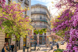 Meet in Madrid: A city where nature and innovation lead the way