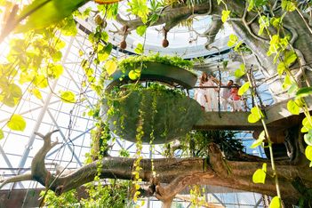 Dubai: Serious about sustainable events