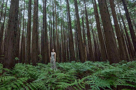 Simple steps, maximum impact: Easy tips for a greener event