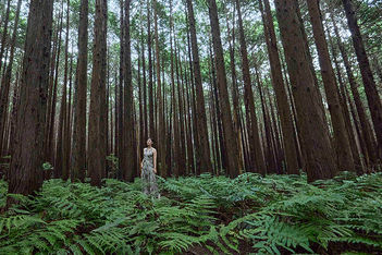 Simple steps, maximum impact: Easy tips for a greener event
