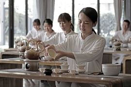 Traditional Chinese medicine enters corporate retreats