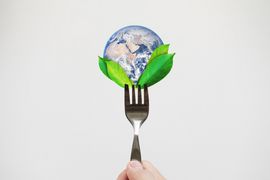 Singapore’s agri-food tech expo to serve up sustainable solutions