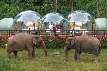 GHA's new collection put green hotels in spotlight