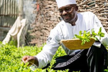 Kempinski Hotels gets into the green books