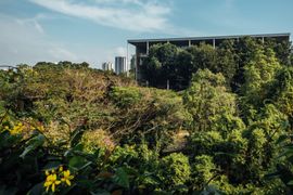 National University of Singapore launches its first campus hotel