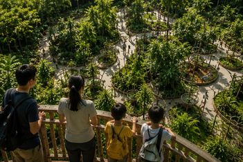 Sentosa breaks ground on Asia’s first experiential climate adaptation hub
