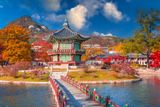 Seoul gears up for 1,400-pax Herbalife incentive group