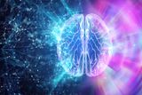 Business events urged to regenerate as brain economy grows