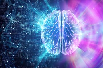 Business events urged to regenerate as brain economy grows