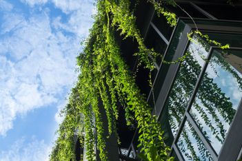 Event sustainability standard updated for Paris 2024