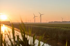 What is events sector's path to net zero?