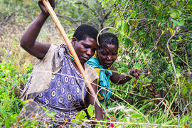 The carbon offset world, according to Sustainable Travel International