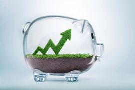 Will sustainable choices help in cost savings?