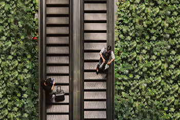 4 steps to create a greener business travel programme