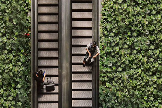 4 steps to create a greener business travel programme