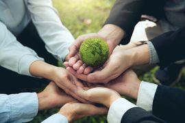 Crafting a sustainability policy for events