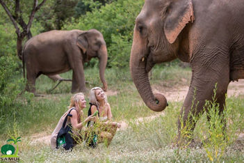 Tips for choosing the best incentive travel destination