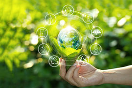 Green events made simple with CWT's new carbon tool