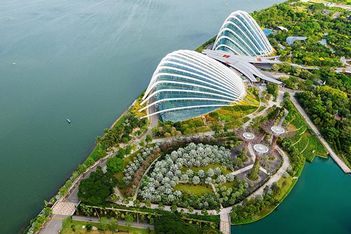 5 Reasons To Hold Your Next Event at Gardens by the Bay
