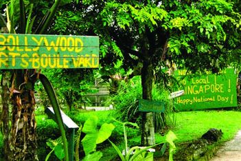 Singapore - Novel Discoveries