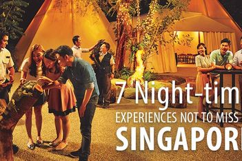 7 night-time experiences not to miss in Singapore