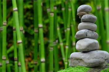 Japan forms tourism policy around Global Sustainable Tourism Council criteria